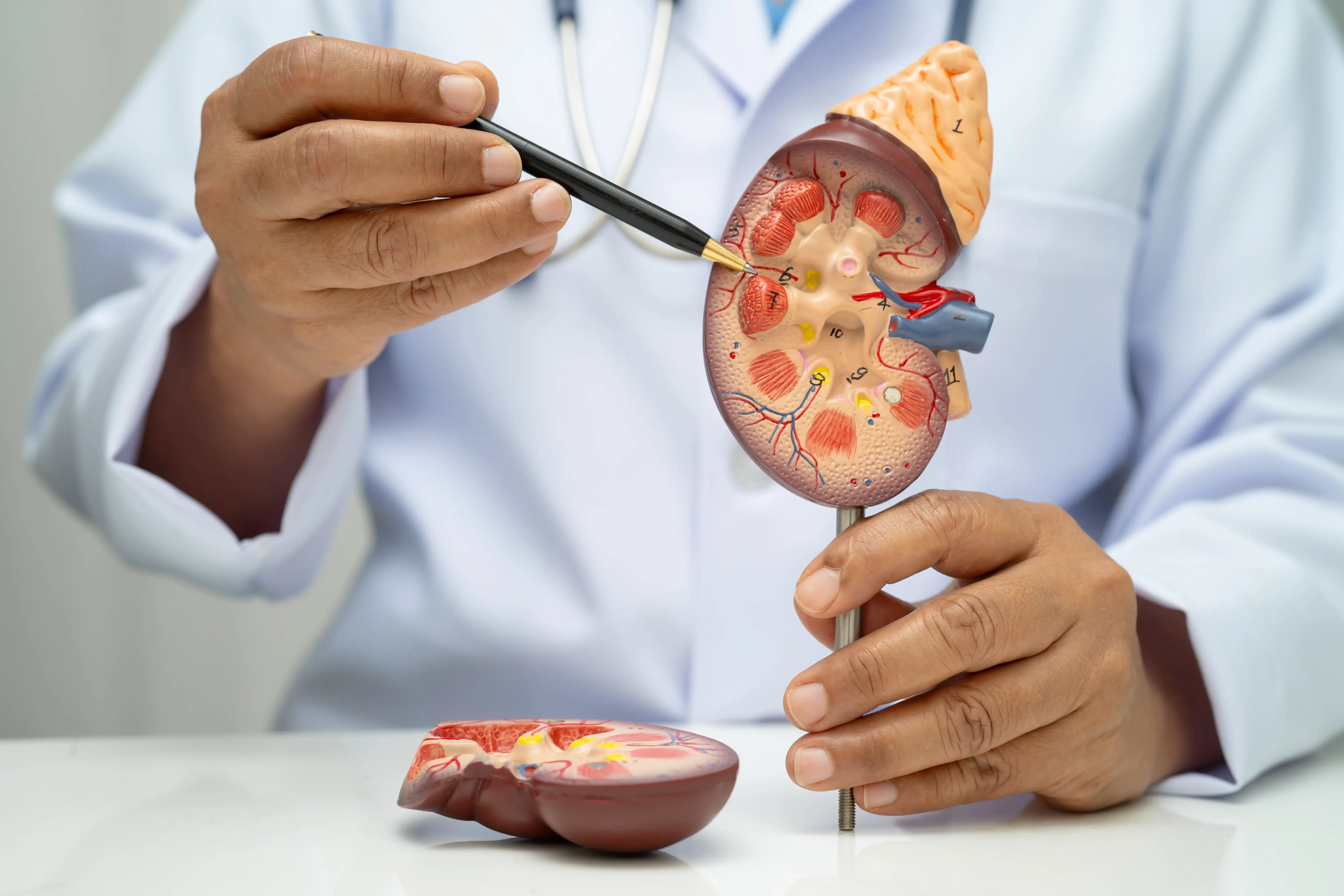 Nephrology department