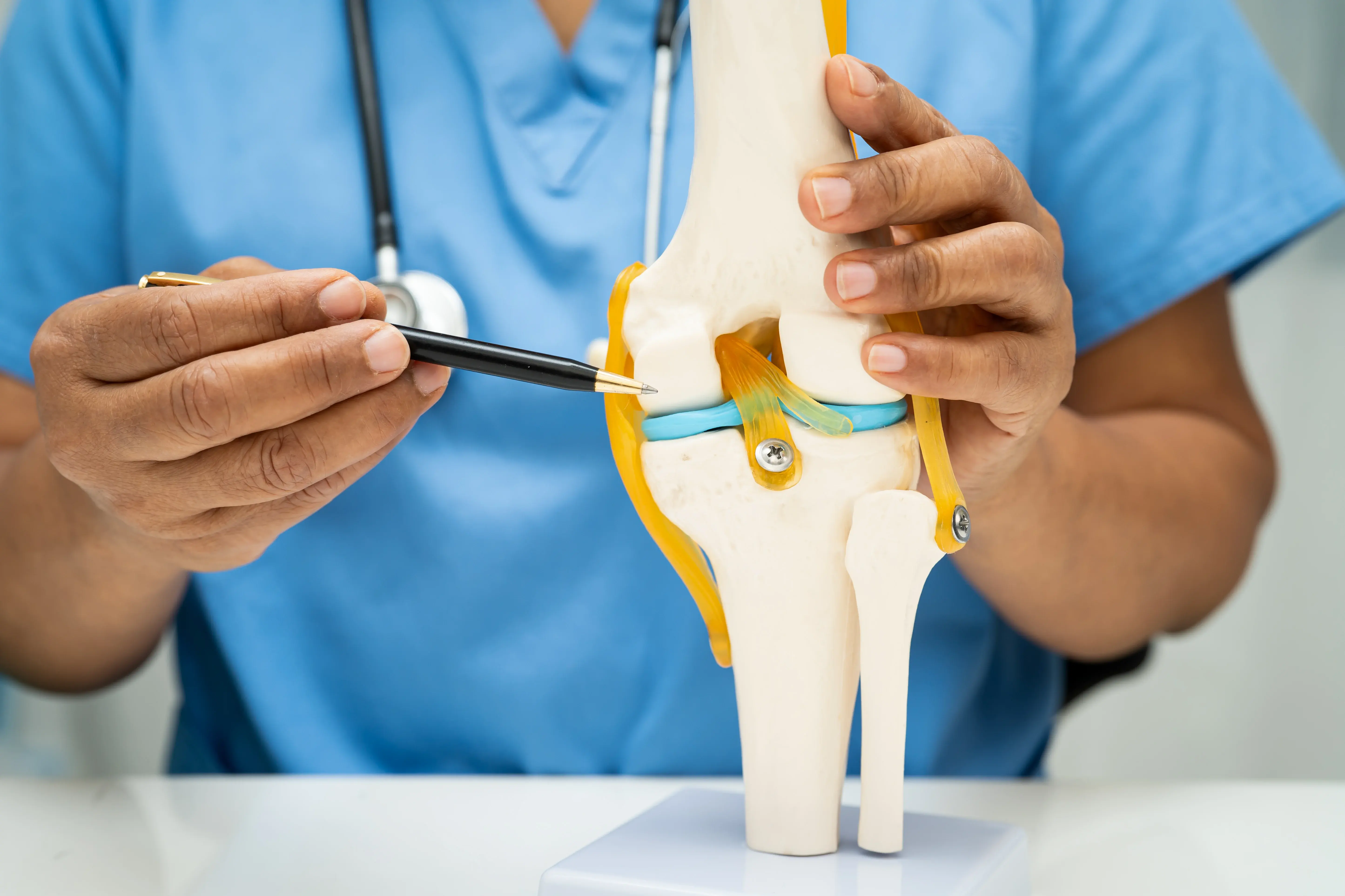 Orthopaedic